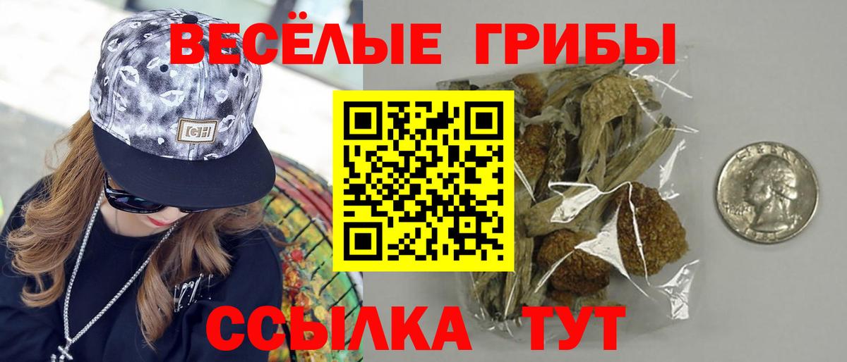 Галлюциногенные грибы прущие грибы Шадринск