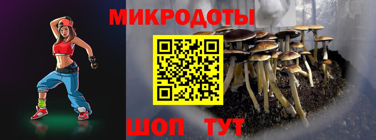 Псилоцибиновые грибы Magic Shrooms  Галлюциногенные грибы MAGIC MUSHROOMS  Шадринск  Вход с VPN 
